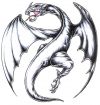 european dragon tattoo design